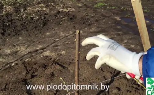 Превью видео