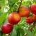 Нектарин ХАРБЛЕЙЗ в Красногорске