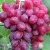 Виноград КИШМИШ ВЕЛЕС в Красногорске