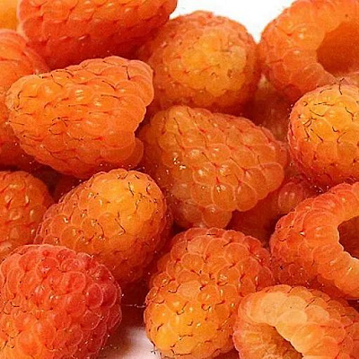 Оранжевая в Красногорске